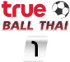 true-ball-thai-1