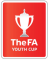Taça FA Juvenil