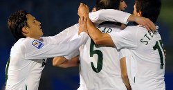 Slovenia players celebrate during a 2010 World Cup qualifier