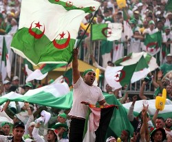 Algeria's crowd excited as they wave the country's flag and chant in joy
