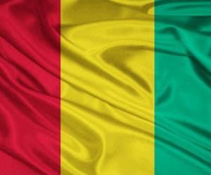 Guinea's pride at the 2012 AFCON