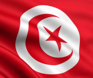 Tunisia at the 2012 AFCON