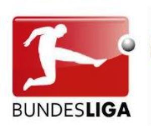 German Bundesliga Matchday 14 - November 27-28, 2012.