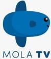 mola-tv-indonesia