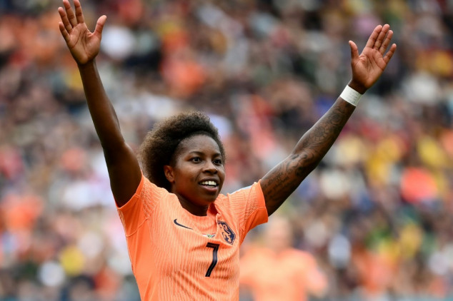Netherlands striker Beerensteyn glad 'big-mouth' US out of World Cup