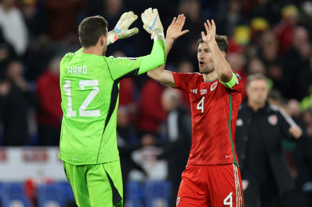 Wales 'never stopped believing' in Euro 2024 bid, says Davies