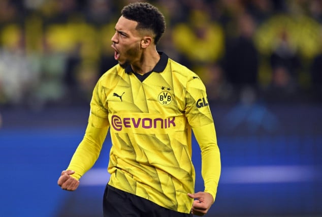 Dortmund's Nmecha ruled out until 2024 with injury