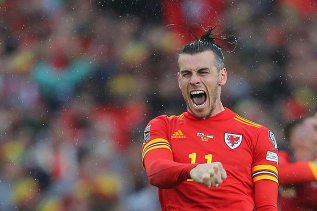 Bale must be handled with care says Wales boss Page