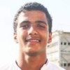 Hossam Abdelmaguid Abdelsalam Abdelmaguid