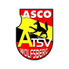 AtSV Wolfsberger