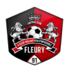 Fleury 91